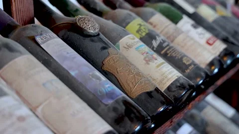 Old wines collection in Queens Winery House in Palace garden, Balchik, Bulgaria Stock Footage 186548632
