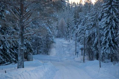 Old winter road Stock Photos