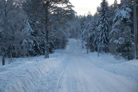 Old winter road Stock Photos