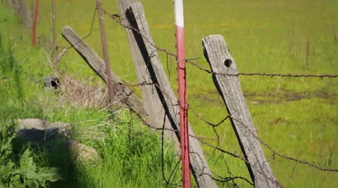 Old Wire Fence Stock Footage 25593680