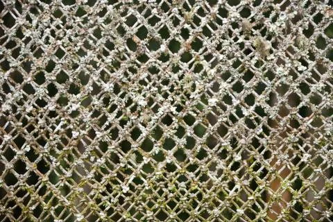 Old wire fence Stock Photos