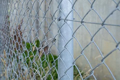 An old wire mesh with a diamond pattern. Stock Photos