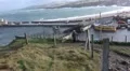Old woman and dog on hill above harbour looking out on storm HD Footage