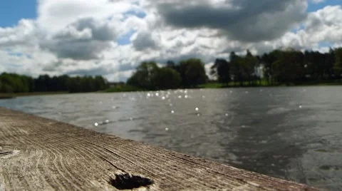 Old wood and river background Stock Footage 50103531