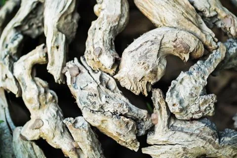 Old wood background drop shadow soft ligh Stock Photos