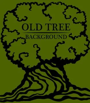 Old wood background. Image of a large trunk and a dense crown of an old tree. Stock Illustration