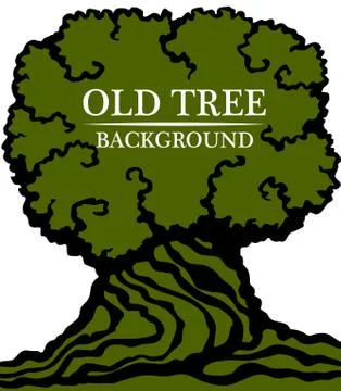 Old wood background. Image of a large trunk and a dense crown of an old tree. Stock Illustration