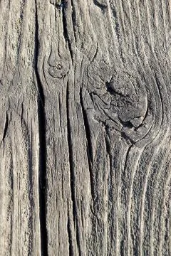 Old wood background with panel . in bad condition Stock Photos
