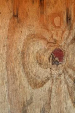 Old wood background Stock Photos