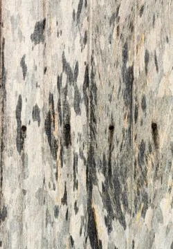 Old wood background Stock Photos