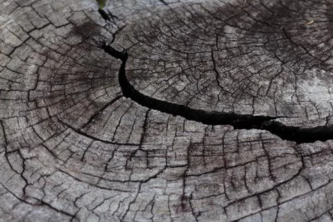 Old wood background Stock Photos