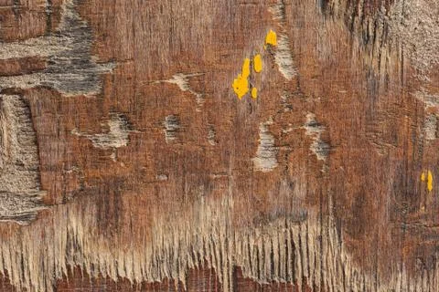Old wood background Stock Photos