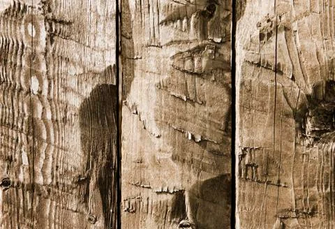 Old Wood Background Stock Photos