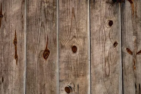 Old wood background Фото