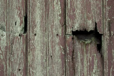 Old wood background. Stock Photos