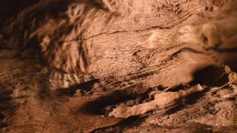 Old wood background texture. Brown color of natural eco oak ancient wood Stock Footage 335841765