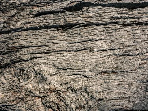 Old wood background texture Stock Photos