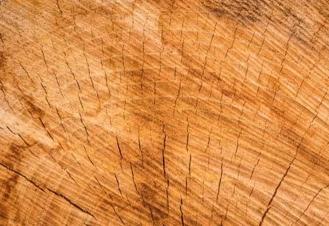 Old wood background texture Stock Photos