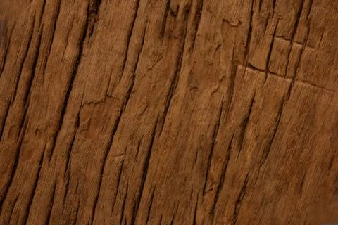 Old wood background  texture. Stock Photos