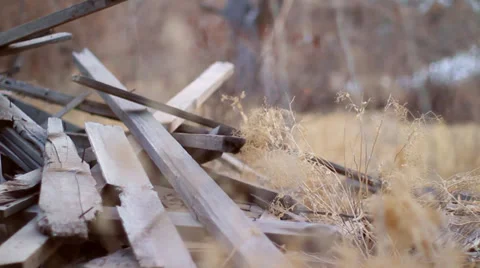 Old wood to dead tree Video stock 27910259