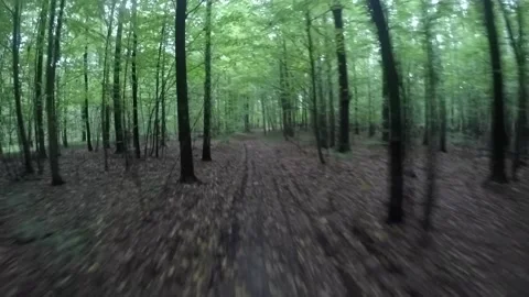 Old wood Vidéo 161712988