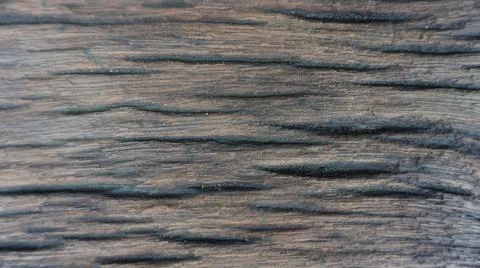 Old wood grain texture, beautiful landscape photo Stock Photos