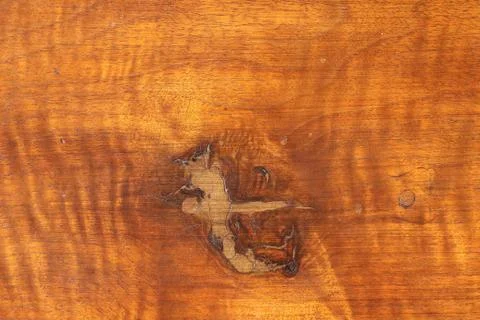 Old wood with a node Stock Photos