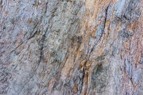 Old Wood or tree texture background , Soft - focus Stockfoto's