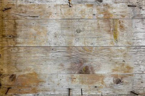 Old wood panel Stock Photos