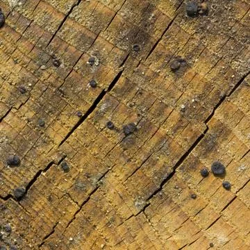 Old wood Foto stock