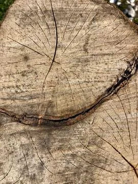 Old wood Stock Photos