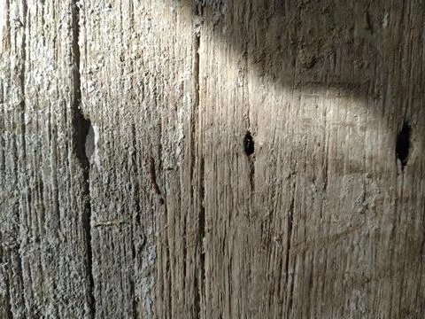 Old Wood Stock Photos