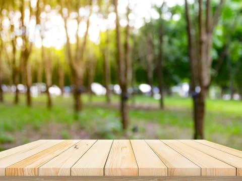 Old wood plank with abstract rubber plantation blurred background Stock Photos