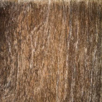Old wood plank background Stock Photos
