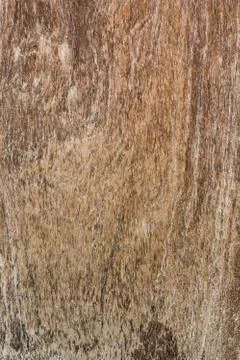 Old wood plank background Stock Photos