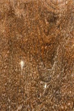 Old wood plank background Stock Photos