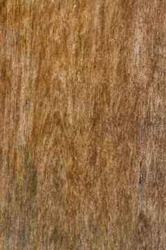Old wood plank background Stock Photos