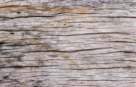 Old wood plank texture can be use as  background Foto stock