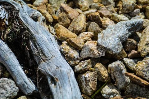 Old wood with rocks Foto stock