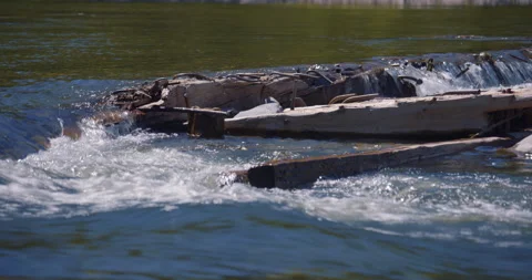 Old wood structure in the river stream 動画素材 130921549