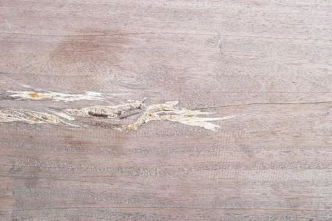 Old wood texture background. Floor surface 库存照片