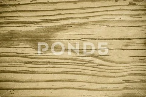 Old wood texture background, perfect natural pattern. Stock Photos