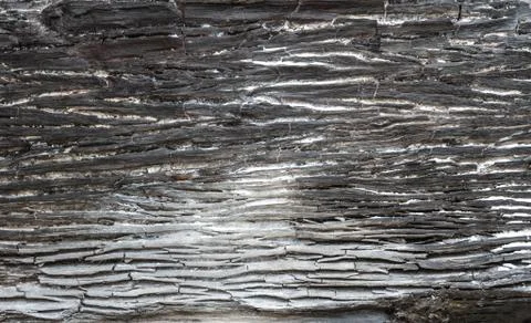 Old wood texture background Stock Photos