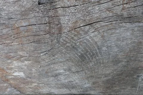 Old wood texture background 库存照片