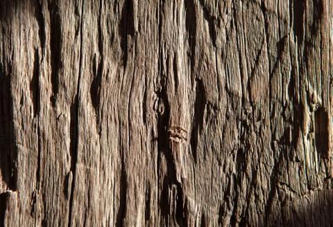 Old wood texture for background Stock Photos