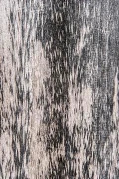 Old Wood Texture for Background Stock Photos