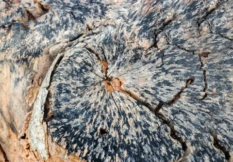Old wood texture background Stock Photos