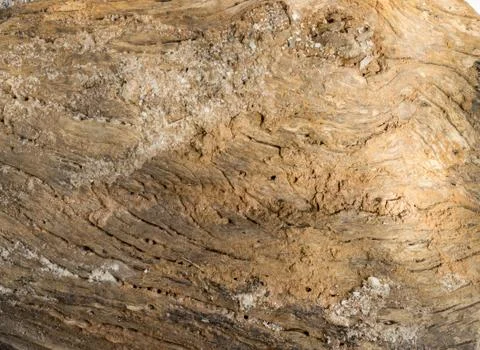 Old wood texture background Stock Photos