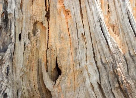 Old wood texture background Stock Photos