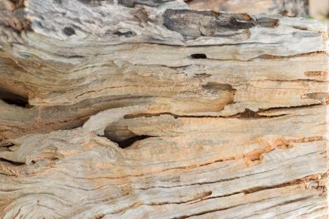 Old wood texture background Stock Photos